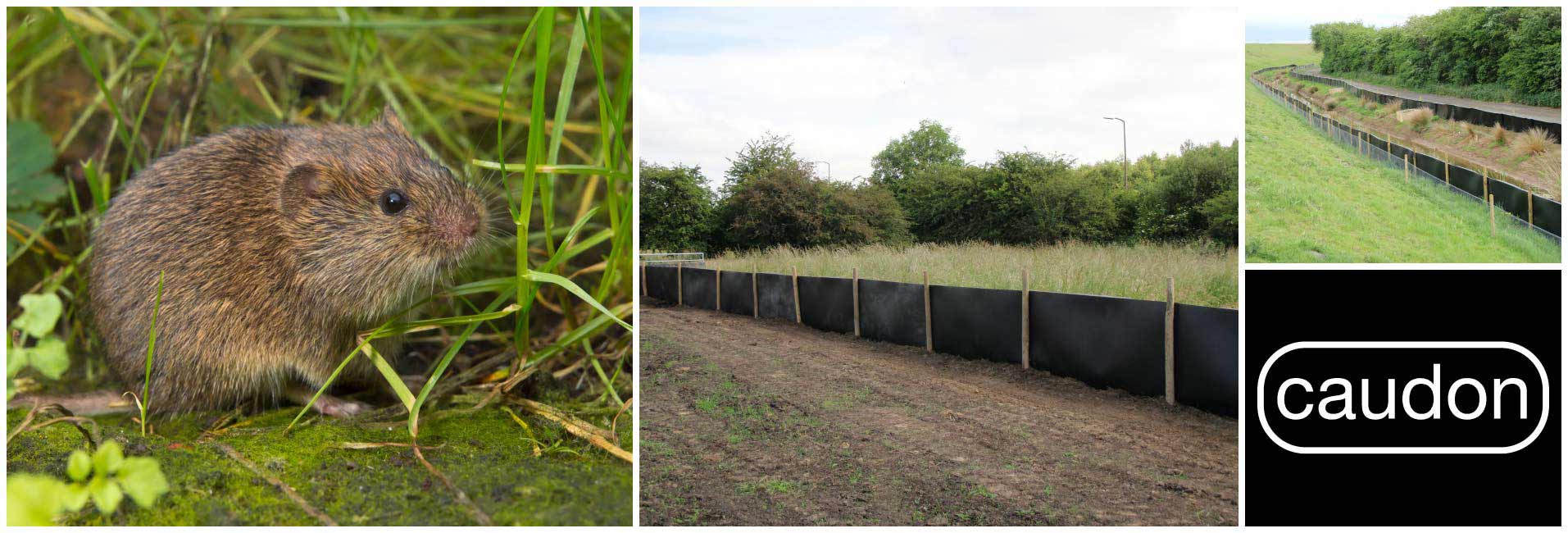Caudon Fencing Systems