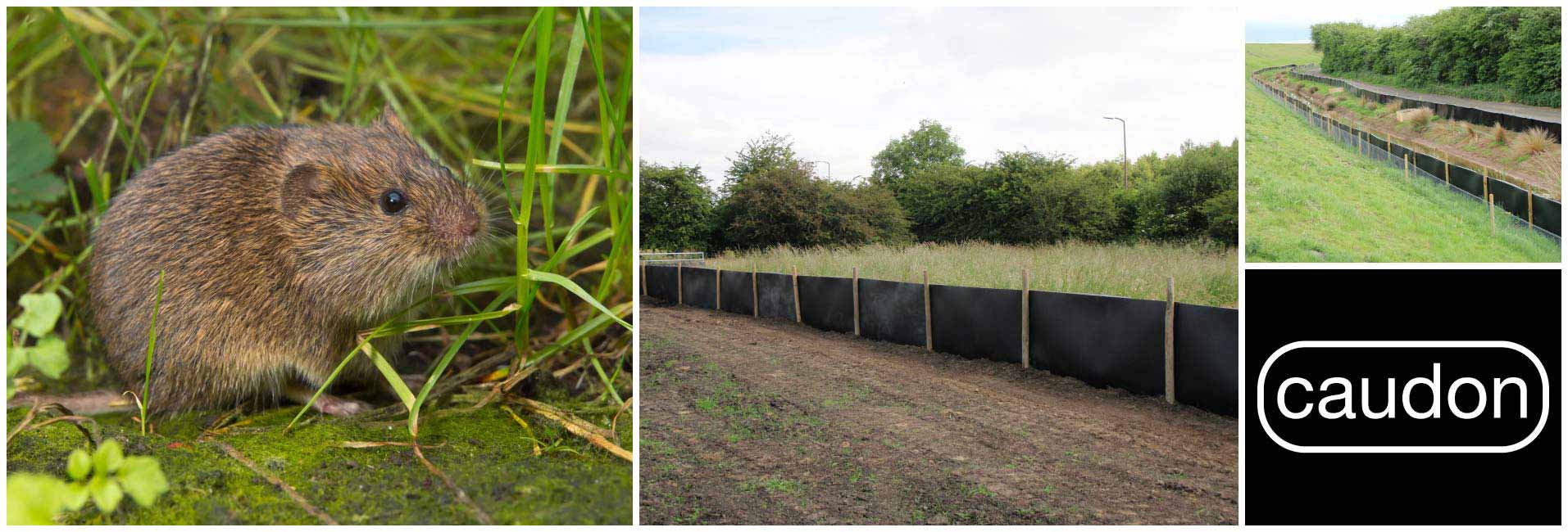 Caudon® Water Vole Fencing