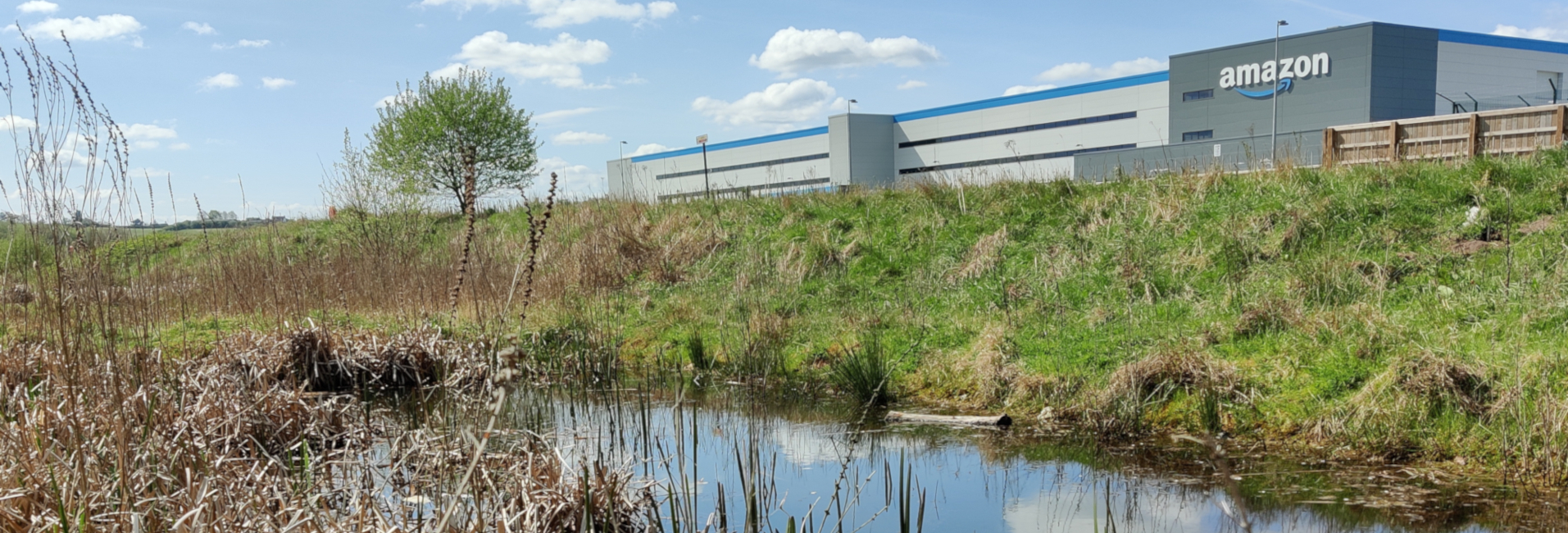 Pond & Wetland Creation