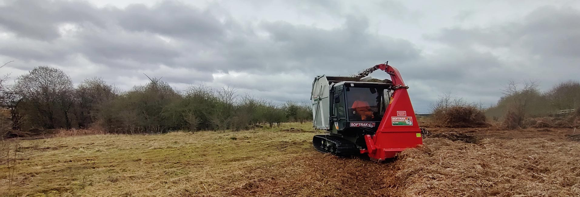 Vegetation Clearance