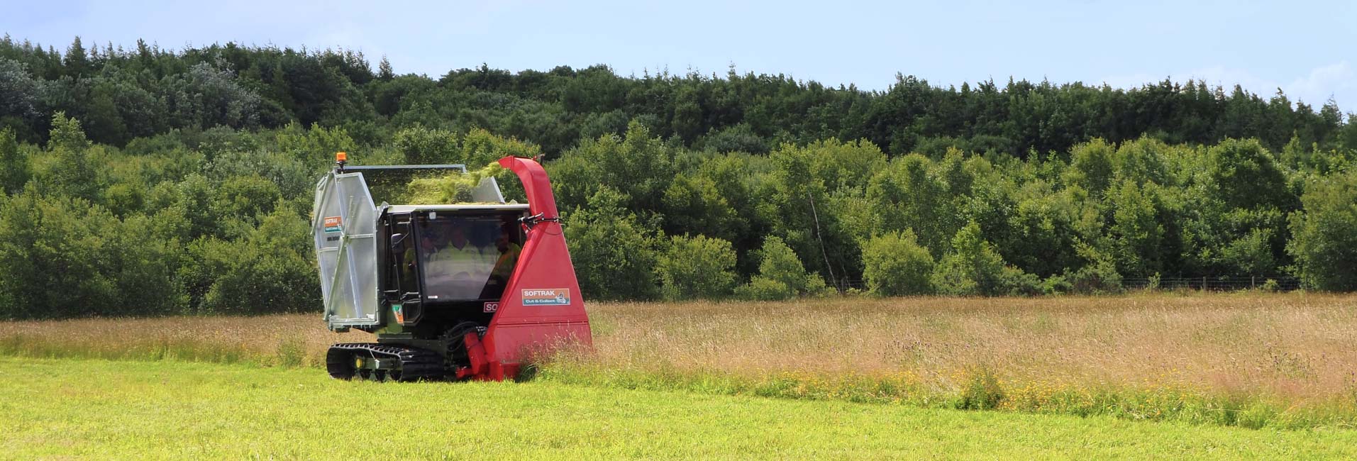 Vegetation Clearance