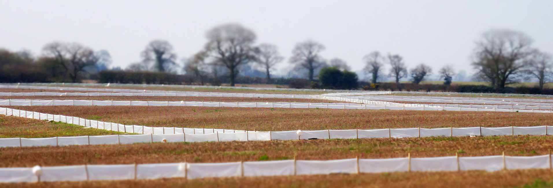 Wildlife Fencing