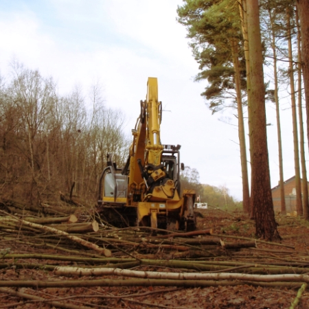 Commercial Site Clearance