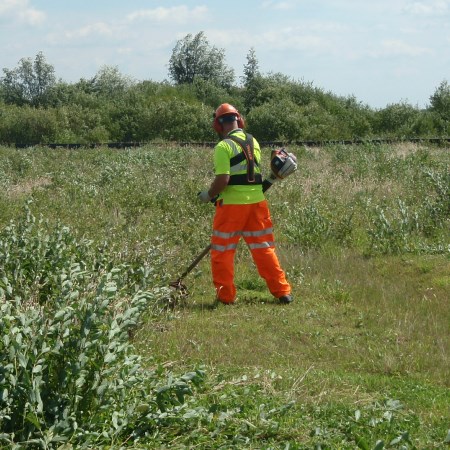 Habitat Management