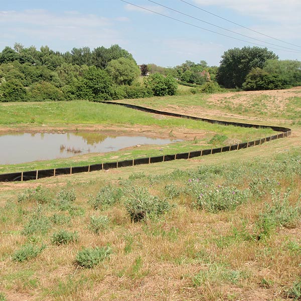 Newt Fencing