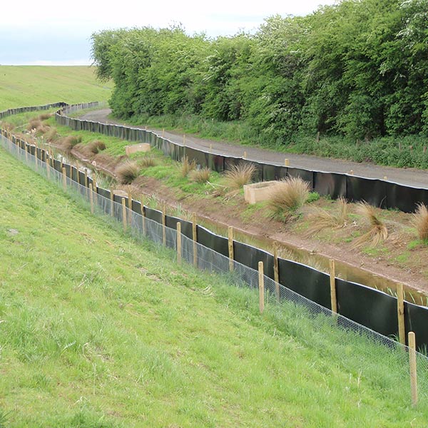 Rabbit Fencing