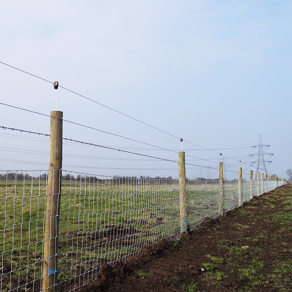 Stock Fencing