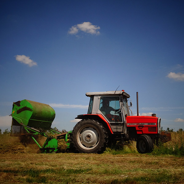 Vegetation Clearance