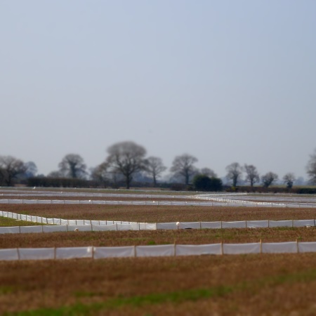 Wildlife Fencing